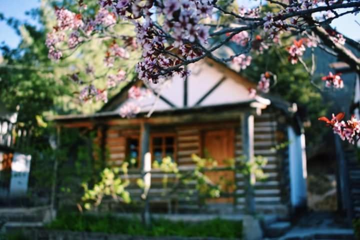 Cabanas Montebello Inn Кріл Екстер'єр фото